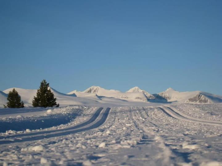 Bjorgebu Camping As Mysusæter Bagian luar foto